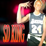 sd king android application logo